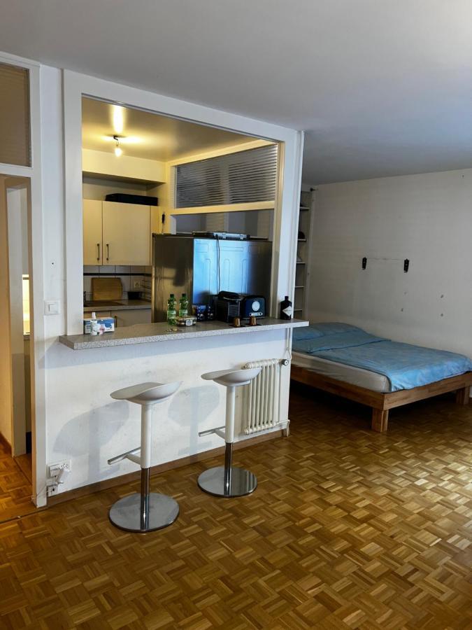 Beautiful Large Studio In Center Of Free Wifi Ginebra